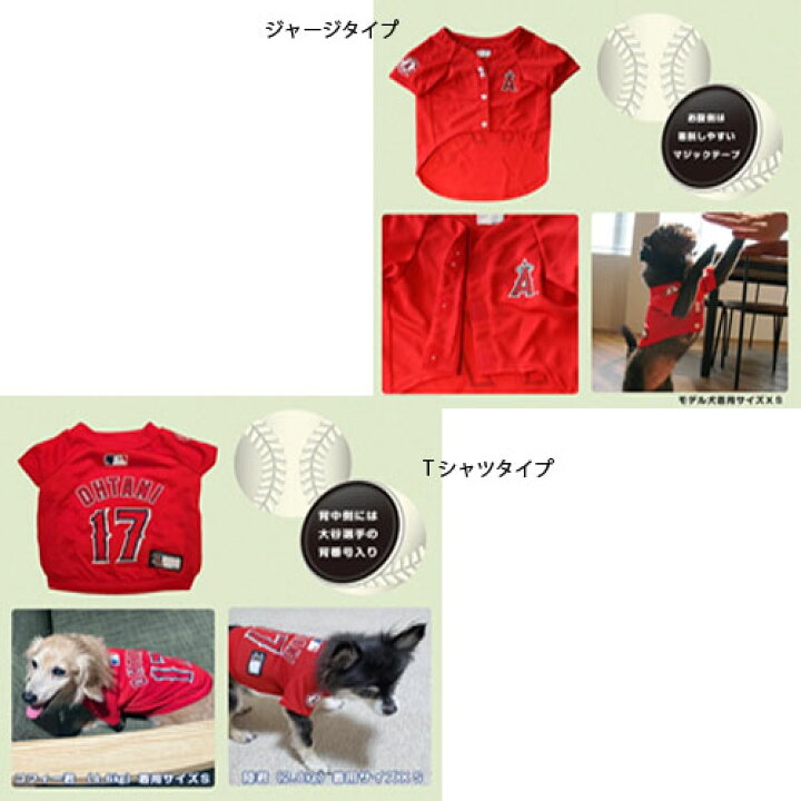 楽天市場】送料無料 fw【公式 エンゼルス 大谷翔平 モデル 犬 ジャージ 