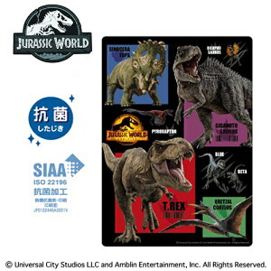 KJ【JURASSIC WORLD 抗菌 下敷  日本製】キャラクター グッズ したじき 贈り物 文具 文房具 入学祝い 筆記具 筆記用具 入学 学習 勉強 下敷き 下じき ジュラシックワール