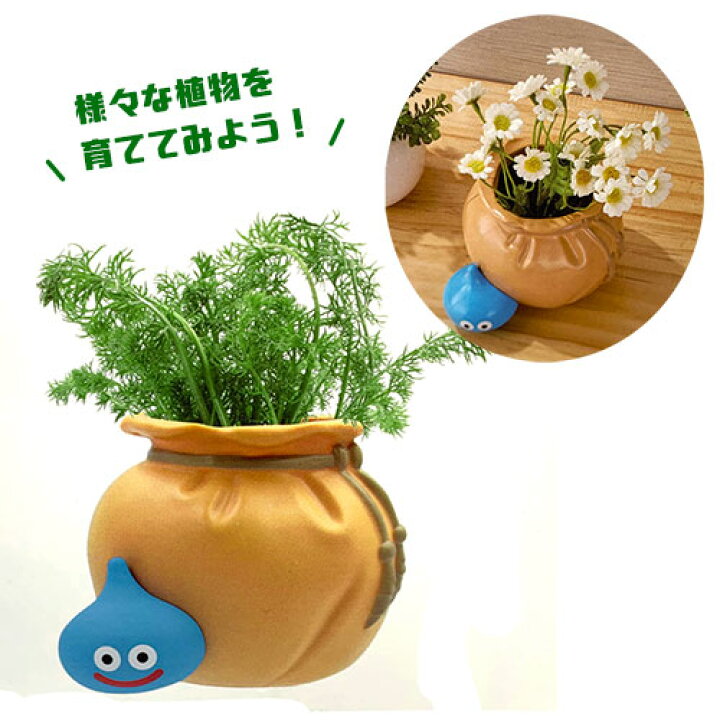 楽天市場】【ドラゴンクエスト やくそう袋の植木鉢 種つき 栽培セット 