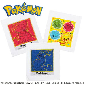 SKyPOCKET MONSTERS@XJ[bg@oCIbg@3@Zbg@ڂz^I@LN^[@ObY@ct@wZ@~j^I@3P@^IZbg@@@nJ`@gс@|