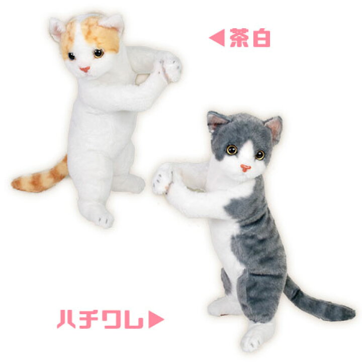楽天市場】【6種 リアル 猫 ぬいぐるみ ぎゅっと 35cm】雑貨 かわいい 