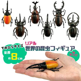 特価【6体セット　リアル　世界の　昆虫　フィギュア　中サイズ　8cm】甲虫　ヘラクレス　オオカブト　虫　ムシ　クワガタ　虫　模型　子ども　かぶとむし　夏　ムシキング　カブトムシ　おもちゃ　人形　オオカブト　ディスプレイ　大きい　ミヤマクワガタ　かぶと虫