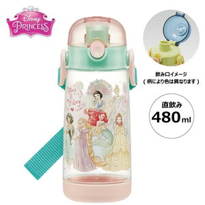 SKyDisney@vZX@݁@NA@^b`{g@023@480mlz{@H@Ή@fBYj[@q@ǂ@wZ@LN^[@vcF@AG@x@@