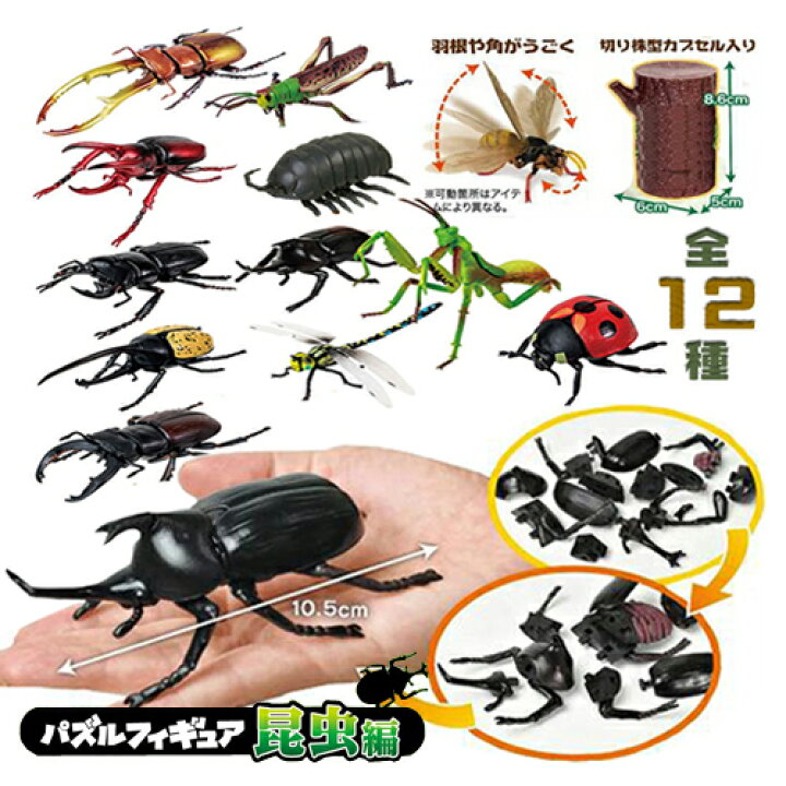 楽天市場】送料無料【12体セット 超リアル ビッグ 昆虫 4D パズル 