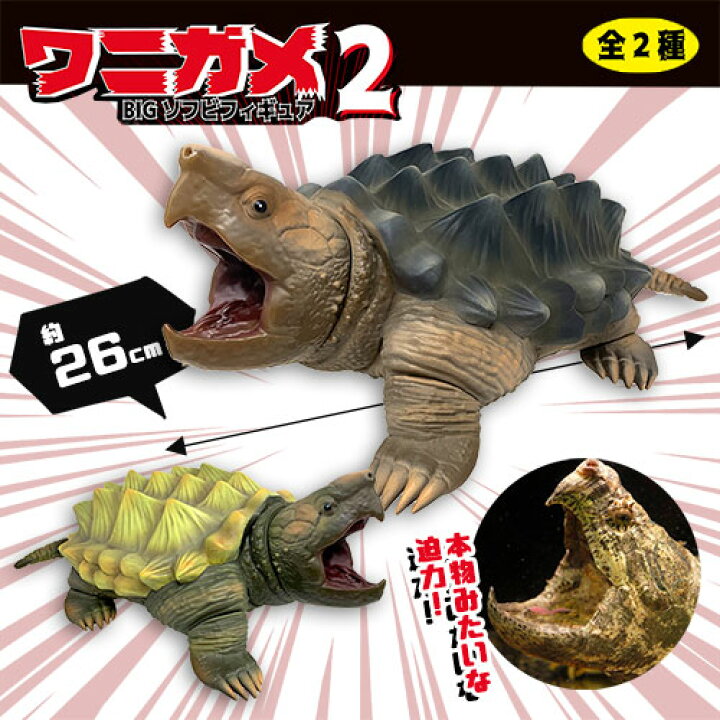 楽天市場】特価【ワニガメ2 BIG ソフビ フィギュア 26cm】カメ 亀 危険  