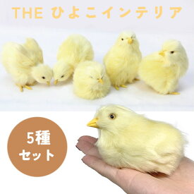 【5個セット　THE　ひよこ　インテリア】ヒヨコ　リアル　鳥　小鳥　ことり　おもちゃ　オモチャ　フィギュア　置物　おき物　動物　ペット　癒し　雑貨　マスコット　バード　かわいい　玄関　ウェルカムボード　DIY