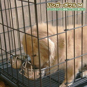 fwyQ[W@ݒup@nK[{E M@320ml@311933HzL@lR@@Ck@p@L[@ȒPݒu@@L@ybgp@ @GT@a@a@{[@@H@H@@