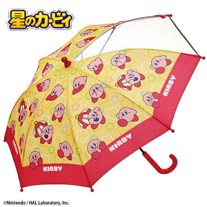 SKỹJ[rB@OXt@Co[@bh@LbY@P@45cmzJ@X^[CY@fBXJo[@@w@@J@ǂ@JP@wP@ObY@LN^[@J[