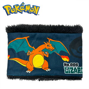 TMy|PbgX^[@U[h@lbNEH[}[@t[TCYzObY@h@pocket monsters@LbY@ǂ@c@q@qǂ@ߗ@G݁@@}t[@@h