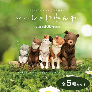 yS5Zbg@ɂ˂ˁ@tBMAzl`@WI}@Aj}@u@Aj}@Zbg@@A@@K`K`@Q@@|[Y@L@˂@@