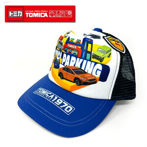 TMyg~J@1970@LbY@bV@Lbv@ԁ@u[@51cmzԁ@@ł@ǂ@c@q@qǂ@dԁ@悯@ڂ@Xq@蕨@nbg@4΁@5΁@6