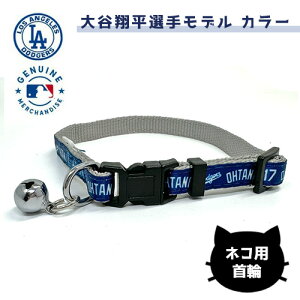 fwy@J ĕ@hW[X@Lbg@J[@ zybgp@L@@ObY@U@pi@o@ObY@LN^[@pi@U@싅@ybgpi@lR@˂@