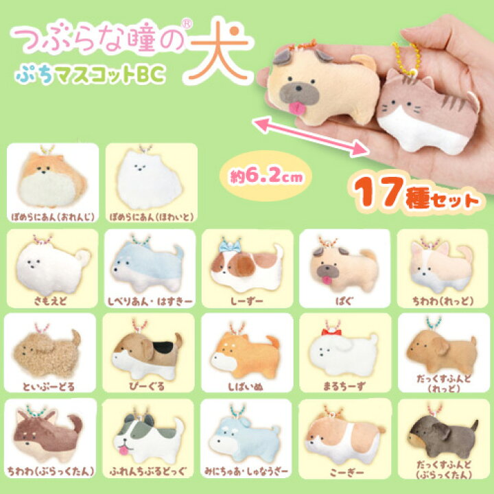 楽天市場】【17種セット つぶらな瞳の 犬 ぷちマスコット BC 6.2cm 