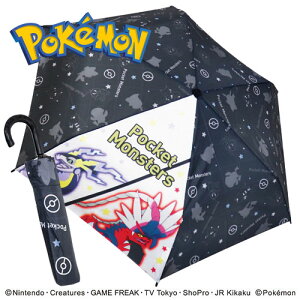 JPyPOCKET MONSTERS@܂肽ݎP@~Ch@RCh@ubN@53cmzObY@|P@ʊw@w@@J@ǂ@JP@wP@LbYP@w@LN^[@P@t