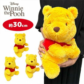 特価SB【くまのプーさん　BIG　ぬいぐるみ　30cm】ディズニー　Disney　プー　大きい　ビッグ　グッズ　ふわふわ　ぷーさん　公式　くま　プレゼント　ファーストトイ　ティガー　ピグレット