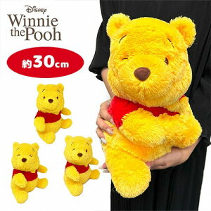 SBy܂̃v[@BIG@ʂ݁@30cmzfBYj[@Disney@v[@傫@rbO@ObY@ӂӂ@Ձ[@@܁@v[g@t@[XggC@eBK[@sOb