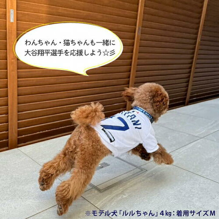 楽天市場】特価 fw【公式 ドジャース 大谷 翔平 モデル 犬 Tシャツ 