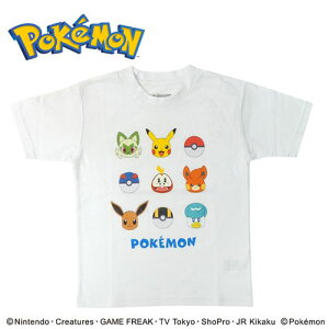 FPy|PbgX^[@LbY@pfA1@TVc@WH @100`140cmz|P@POCKET MONSTERS TCY@j@@j̎q@̎q@ct@w@LN^[@ObY@G݁@Ap