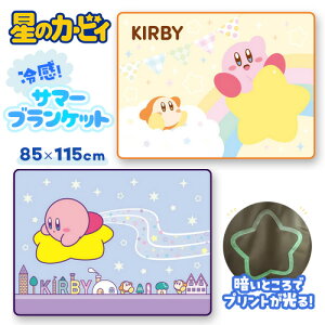 SBỹJ[rB@~@⊴@T}[Pbg@85×115cmzuPbg@ā@Ђ|@Ђ@Q@[@Ђ@@߁@@yʁ@ėp@^IPbg@J[rC@