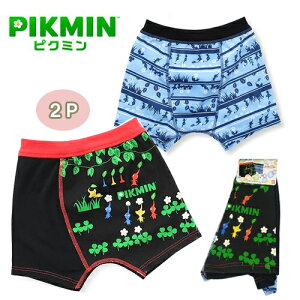 ARysN~@PIKMIN@ӂ@2P@Ci[@BK & BL@024z@@ց@pc@{NT[@u[t@j̎q@j@BANDAI@o_C@LbY@LN^[@120cm 130cm@@Ap