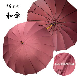 KByGƊGo@16{@aP@ԁ@60cm zWv@aP@J@JP@唻@@IV@P@JP@@TCY@唻@G@ԁ@傫@v@P@J@