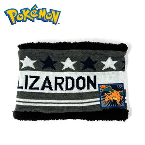 TMy|PbgX^[@U[h@lbNEH[}[@@t[TCY@025zObY@h@pocket monsters@LbY@ǂ@c@q@qǂ@ߗ@G݁@@}t