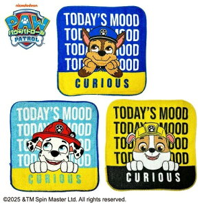 HAypEEpg[@v`^I@3g@Zbg@[h@16×16zpEpg[@100@q@ǂ@LN^[@ct@ۈ牀@wZ@􂢁@nh^I@~j^I@