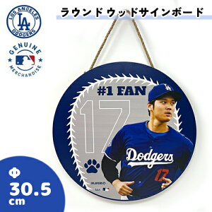 FWyMLB@LA@hW[X@Jĕ@Eh@Ebh@TC{[hz傫@ObY@싅@X|[c@J@ĕ@xbc@OHTANI@ؐ@{[h@Ǌ|@CeA@{[h@