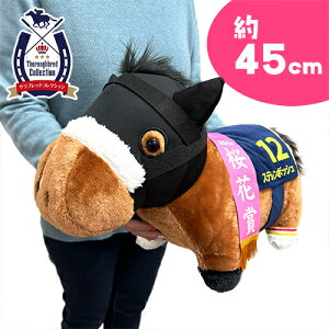 SByTubhRNV@Xe{bV@ӂӂ@BIG@ʂ݁@45cmzE}@n@܁@@킢@傫@rbO@n@n@H؏܁@ԏ܁@傫@G1@