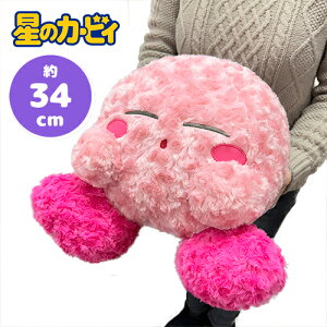 ỹJ[rB@̂т@₷@BIG@ʂ݁@34cmz{A@[Y{A@ӂӂ@ӂӂ@@傫@rbO@Q[@LN^[@J[rB[@́@nintendo