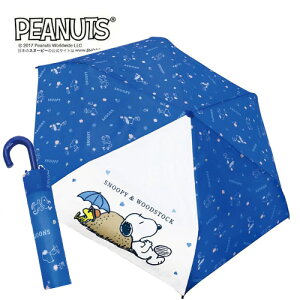 JPyXk[s[@܂肽ݎP@53cm@gt[z܂݁@P@܏P@܏ݎP@܂ݎP@J@JP@@LN^[P@J̓ObY@~J@ʋ΁@ʊw@wZ@w