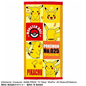 HAy|PbgX^[@RpNg@oX^I@CG[@70×140zv[@C@q@ǂ@LN^[@|P@O@ObY@POKET MONSTERS@C@ӂ@sJ`E@