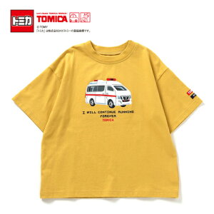 FOyTOMICA@g~J × BREEZE@@TVc@YE@~}ԁ@100`130cmzObY@LN^[@LbY@Ap@@tā@j@{[CY@j̎q@ԁ@܁@ȁ@hJ@̂́@