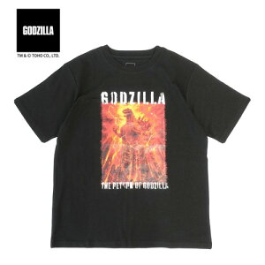 FPySW@Y@|X^[vg@TVc@A@BKzȁ@RXv@p[eB@nEB@LN^[@l@@Ap@@f@@TOHO@GOZILLA@{f@݂