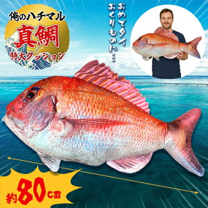 ỹn`}!@@A@^@NbV@80cmzrbO@ʂ݁@LN^[@ObY@@傫@ނ@tBbVO@Cm@ف@ȁ@@i