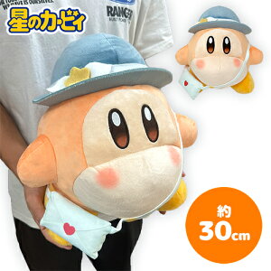 SByJ[rB@Tj[fC@BIG@ʂ݁@̂ł@hfB@30cmz}XRbg@@傫@rbO@Q[@LN^[@J[rB[@́@nintendo@CV@sw