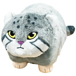 SByFANS@}klR@ʂXL@v~A@40cmz@傫@rbO@ӂӂ@ӂӁ@lR@L@˂@ǂԂ@@NbV@CeA@@Mtg@v[