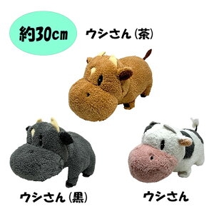 SB�y�q�ꕨ��@���������@�E�V����@BIG�@�ʂ�����݁@29cm�zswitch2�@�Q�[���@�q��@����@�����@�E�V�@���@�����@���킢���@�傫���@�r�b�O�@�O�b�Y�@�L�����N�^�[�@���̃O�����h�o�U�[