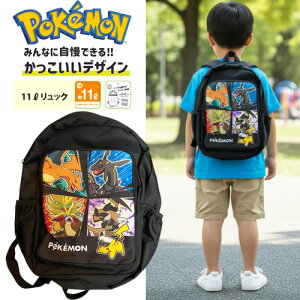 MS�y025�@POCKET MONSTERS�@�o�T�L���@�|�P�����@�W�����@�����b�N�T�b�N�z���J���I�@�J�C�����E�@�����b�N�@���΂�@�J�o���@�L�b�Y�@�O�b�Y�@�L�����N�^�[�@�s�J�`���E�@�|�P�b�g�����X�^