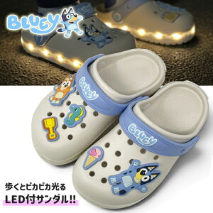 ����C�yBLUEY�@�u���[�C�@�L�b�Y�@�t���b�V���@EVA�@�T���_���@IV�@15�`19cm�z�r���S�@�A�j���@�q�ǂ��@�q���C�@�V���[�Y�@�X�j�[�J�[�@�C�@���@�N�c�@�A�p�����@�G�݁@����@�L�����N�^