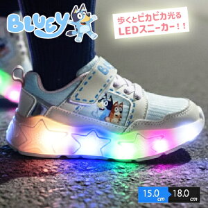 ����C�yBLUEY�@�u���[�C�@�L�b�Y�@�t���b�V���@�X�j�[�J�[�@IV�@15�`18cm�z�r���S�@���̎q�@�K�[���Y�@�����@�c���@�A�j���@�q�ǂ��@�q���C�@�V���[�Y�@�^���C�@�C�@���@�N�c�@�A�p����