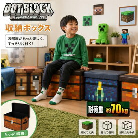 【座れる　ドット　柄　ふた付　収納　BOX　耐荷重　70kg】ボックス　おもちゃ箱　おかたずけ　グッズ　インテリア　蓋付　宝箱　ツール　チェスト　オリコン　コンテナ　マインクラフト　マイクラ　作業台　ブロスタ　武器　ドットツール　minecraft　踏み台　収納ボックス