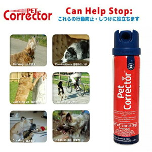 fwyނih~@g[jO@Xv[@ybgRN^[@200mlzL@lR@@Ck@p@@g[jO@g[i[@I@ʁ@I[ybg@n@u[_[@