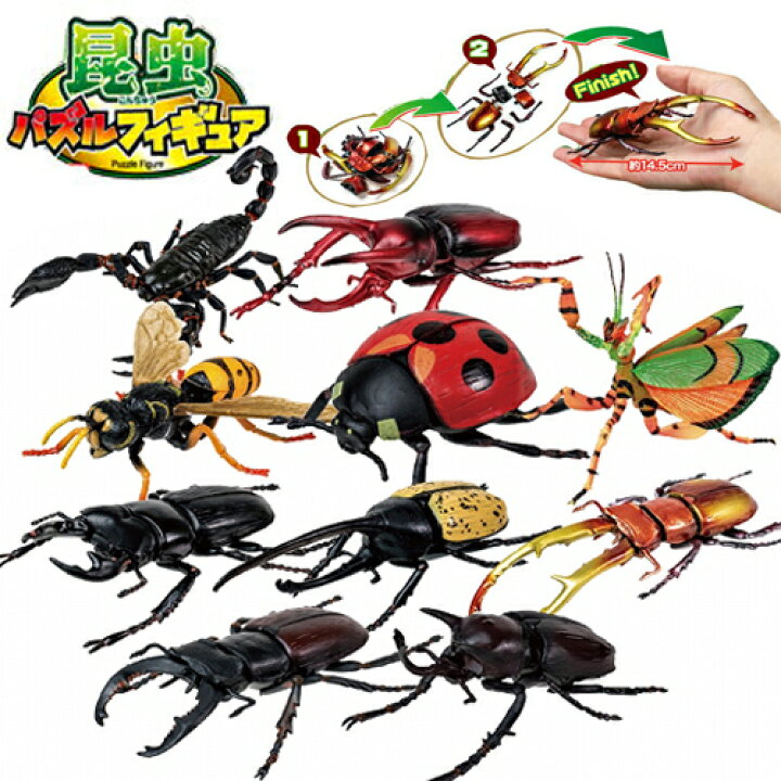 楽天市場 10体セット 超リアル ビッグ 昆虫 4d パズル フィギュア 甲虫 ヒラタクワガタ 虫 ムシ カブトムシ クワガタムシ クワガタ 模型 子ども 夏 カブト ムシキング おもちゃ ディスプレイ 大きい ヘラクレスオオカブト アトラスオオカブト カマキリ Pirates