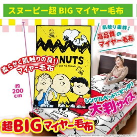 楽天市場 スヌーピー あったか グッズの通販