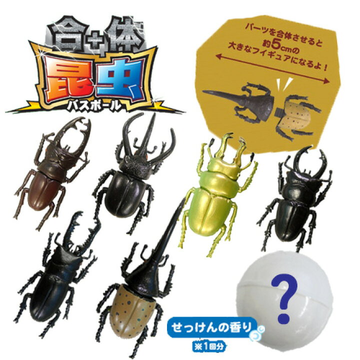 楽天市場 フィギュア が飛び出す 合体昆虫 バスボール お風呂 水に浮く おふろ バストイ グッズ お風呂のおもちゃ おもちゃ オモチャ お風呂で遊ぶ 浮く 水遊び 昆虫 虫 フィギュア 入浴剤 ヘラクレスオオカブト コーカサスオオカブト オオクワガタ 昆虫 Pirates 楽天市場 フィギュア が飛び出す 合体昆虫 バスボール お風呂 水に浮く おふろ バストイ グッズ お風呂のおもちゃ おもちゃ オモチャ お風呂で遊ぶ 浮く 水遊び 昆虫 虫 フィギュア 入浴剤 ヘラクレスオオカブト コーカサスオオカブト オオクワガタ 昆虫 Pirates