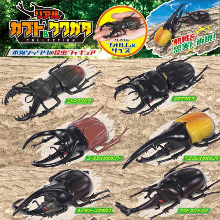 楽天市場 New 6体セット ビッグ 甲虫 セット フィギュア 昆虫 ヘラクレスオオカブト ミヤマクワガタ 虫 ムシ カブト ムシ クワガタ 虫 コーカサス 模型 子ども ヘラクレス 夏 ムシキング ヤマト カブトムシ おもちゃ 人形 オオカブト ディスプレイ 大きい Pirates 楽天市場 New 6体セット ビッグ 甲虫 セット フィギュア 昆虫 ヘラクレスオオカブト ミヤマクワガタ 虫 ムシ カブト ムシ クワガタ 虫 コーカサス 模型 子ども ヘラクレス 夏 ムシキング ヤマト カブトムシ おもちゃ 人形 オオカブト ディスプレイ 大きい Pirates