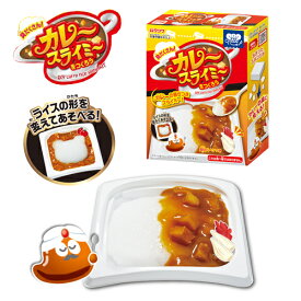 楽天市場 食品サンプル キット おもちゃ の通販