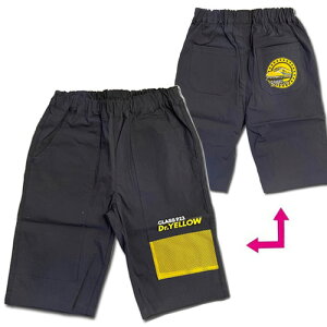 ||fb^yV@n[t@pc@923`@hN^[CG[@100cm@120cm@lCr[z ct@w@@qǂ@LN^[@ObY@dԁ@Ap@@S@dԃO