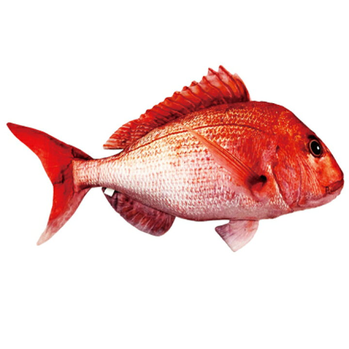 楽天市場 リアル 魚 Big ぬいぐるみ 60cm キャラクター グッズ ビッグ でっかい 大きい 釣り フィッシング マスコット 海洋 水族館 特大 クッション タイ 鯛 たい 釣り好き 魚屋 ふぐ フグ ヒラメ ひらめ 寿司屋 すし 父の日 お店 ディスプレイ 鮮魚 楽天市場 リアル 魚 Big ぬいぐるみ 60cm キャラクター グッズ ビッグ でっかい 大きい 釣り フィッシング マスコット 海洋 水族館 特大 クッション タイ 鯛 たい 釣り好き 魚屋 ふぐ フグ ヒラメ ひらめ 寿司屋 すし 父の日 お店 ディスプレイ 鮮魚